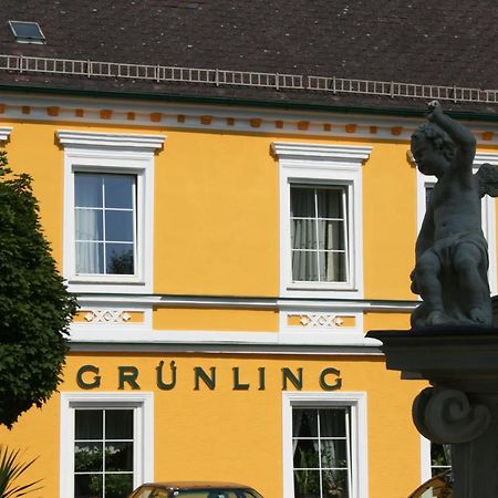 Gasthof Gruenling Wallsee Exterior foto