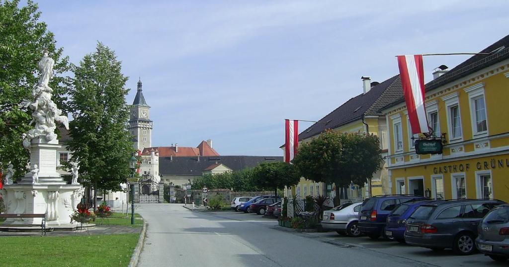 Gasthof Gruenling Wallsee Exterior foto